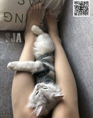 一久久久久